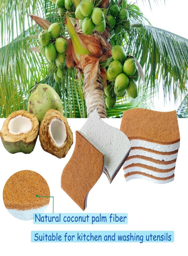 ZanXinY 12Pcs Biodegradable Natural Kitchen Sponge - Non-Scratch Dish Sponges, Biodegradable & Compostable Cellulose with Coconut Fiber Cleaning Sponge for Kitchen, Dishes, Bathroom, Household. - Image 3